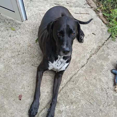 Apartmán Chez Claire Et Olivier Nabringhen