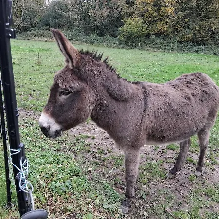 Chez Claire Et Olivier