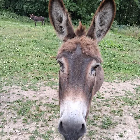 Chez Claire Et Olivier