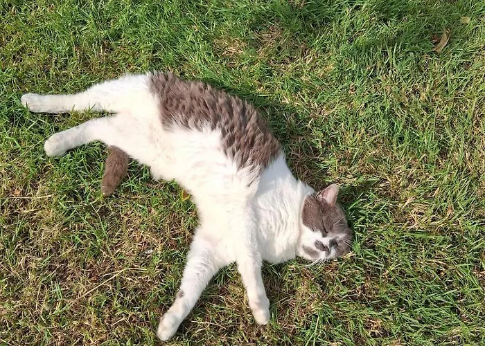 Chez Claire Et Olivier * Nabringhen