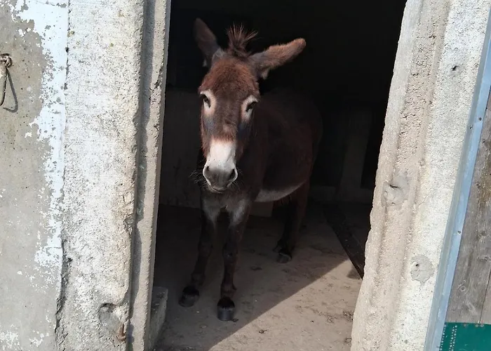 Chez Claire Et Olivier * Nabringhen