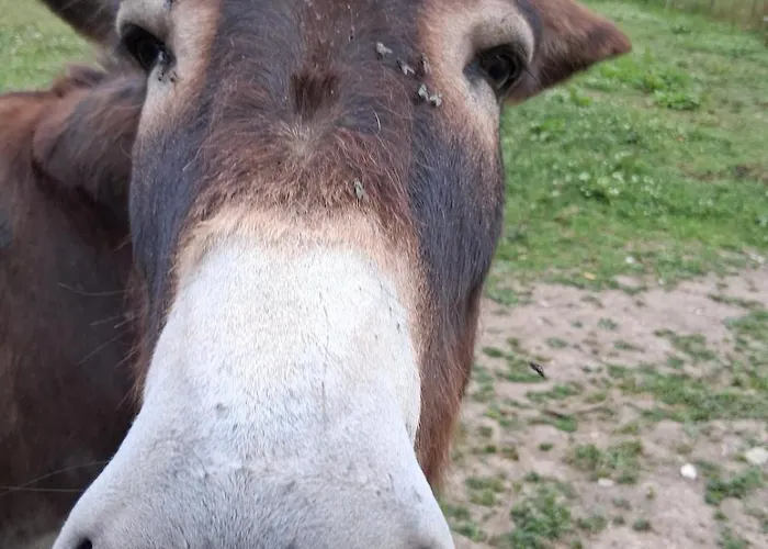 Chez Claire Et Olivier * Nabringhen