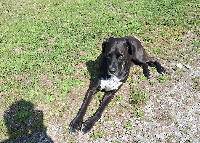 Apartmán Chez Claire Et Olivier