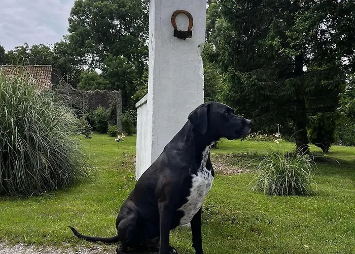 Chez Claire Et Olivier * Nabringhen