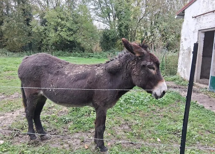 Chez Claire Et Olivier