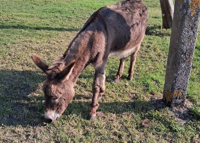 Chez Claire Et Olivier *