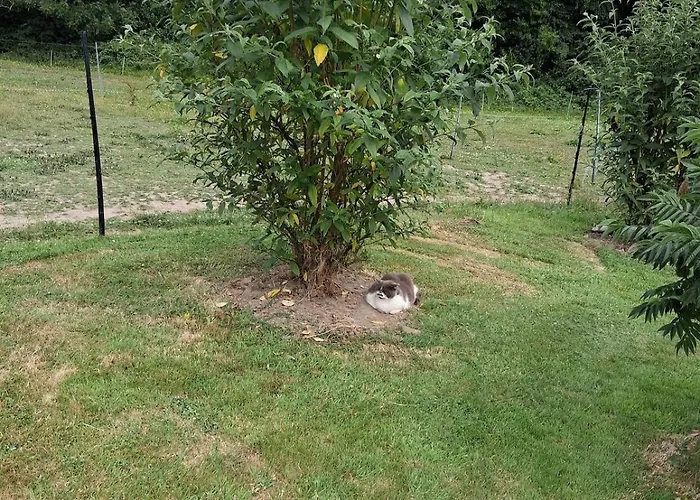 Chez Claire Et Olivier *