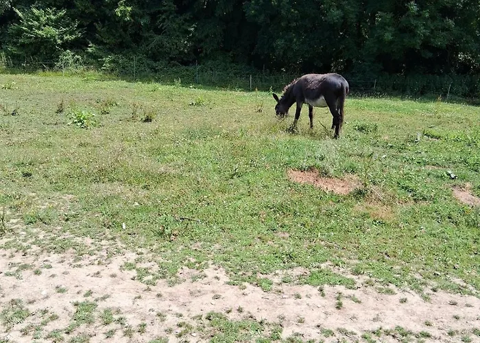 Apartmán Chez Claire Et Olivier *