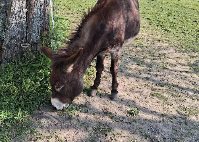 Apartmán Chez Claire Et Olivier Nabringhen