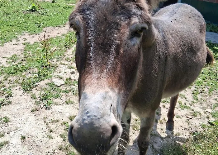 Apartmán Chez Claire Et Olivier *