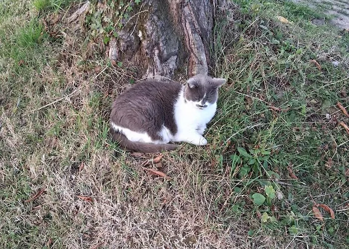 Apartmán Chez Claire Et Olivier