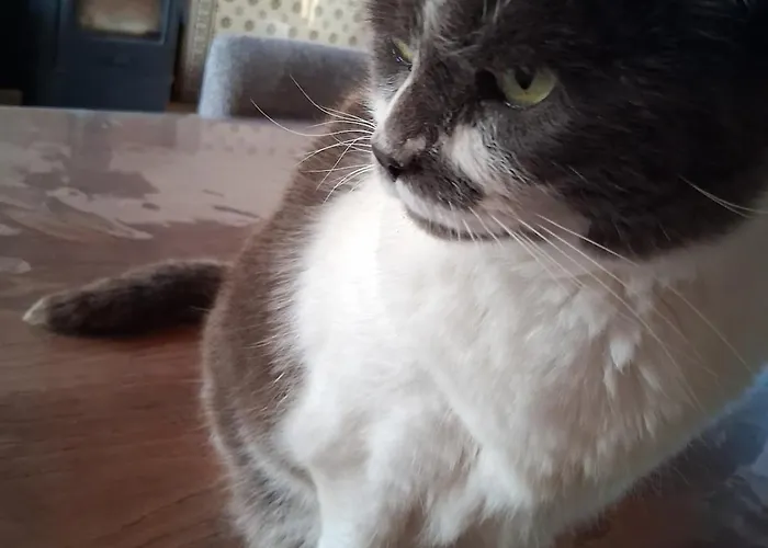 Chez Claire Et Olivier