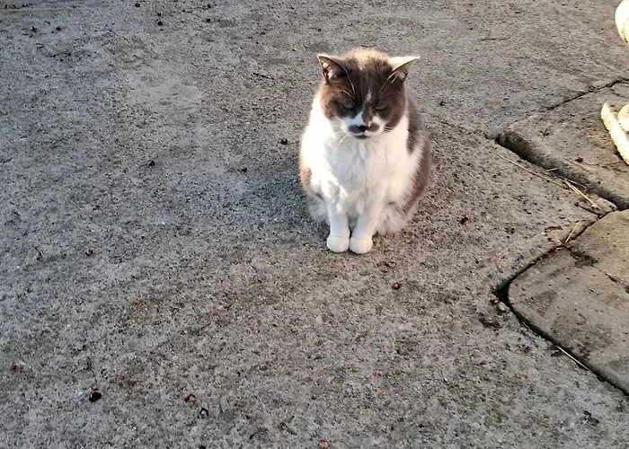 Apartmán Chez Claire Et Olivier Nabringhen