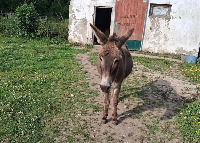 Chez Claire Et Olivier Apartmán