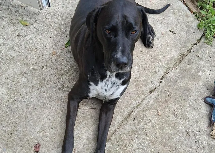 Apartmán Chez Claire Et Olivier Nabringhen