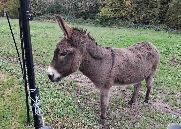 Chez Claire Et Olivier