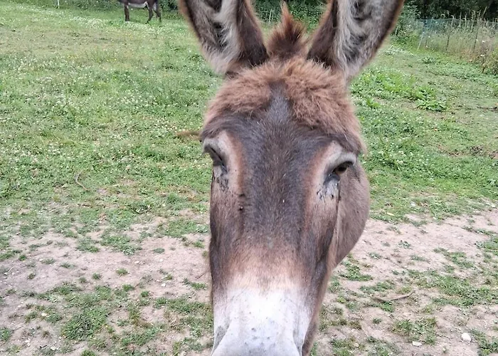 Chez Claire Et Olivier