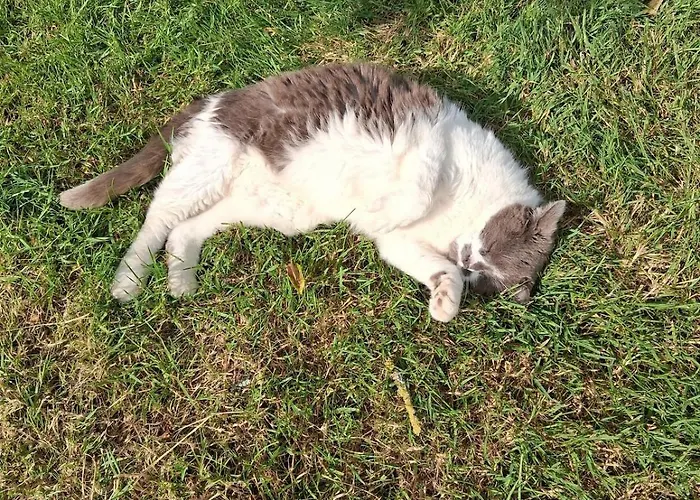 Chez Claire Et Olivier Nabringhen