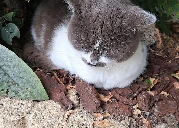 Apartmán Chez Claire Et Olivier *