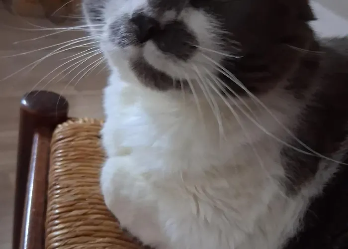 Chez Claire Et Olivier Apartmán