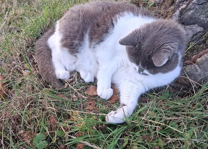 Apartmán Chez Claire Et Olivier