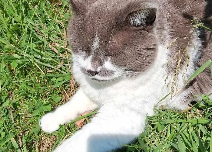 Chez Claire Et Olivier * Nabringhen