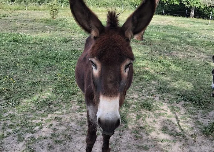 Chez Claire Et Olivier Apartmán