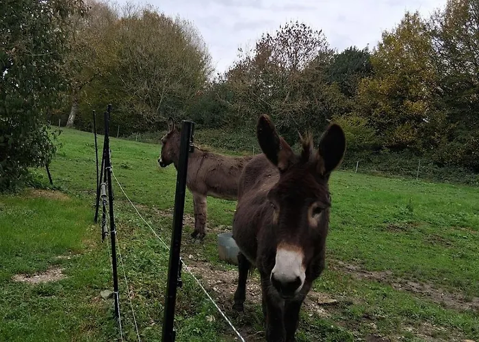 Apartmán Chez Claire Et Olivier Nabringhen